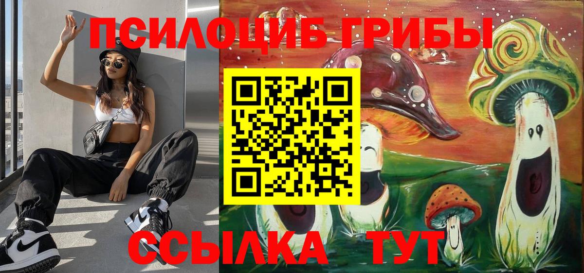 Галлюциногенные грибы Cubensis Бугульма