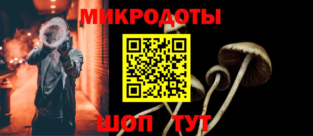 Бугульма  Псилоцибиновые грибы мицелий  Вход с VPN 