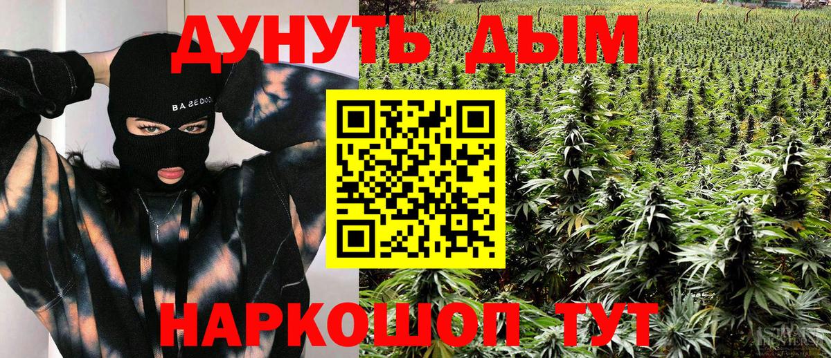 Бошки Шишки Bruce Banner  Вход с VPN  Канабис план  Марихуана THC 21%  Бугульма 